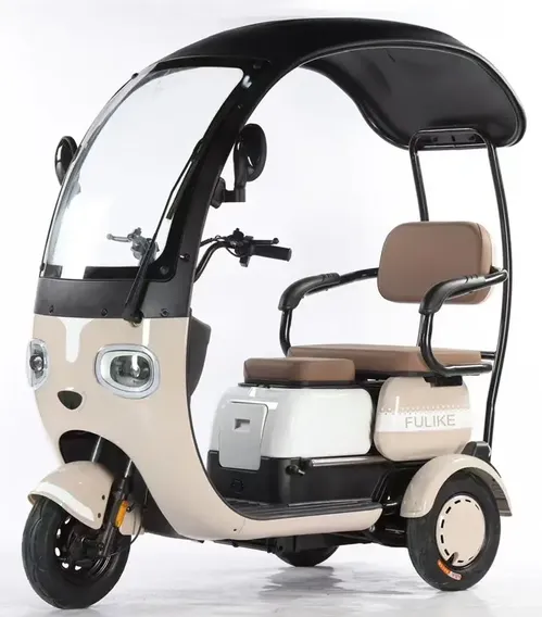 Electric Tricycle With Roof